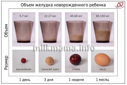 Объем желудка новорожденного ребенка