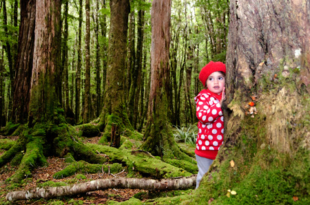 Чему нужно научить ребенка, собираясь с ним в лес