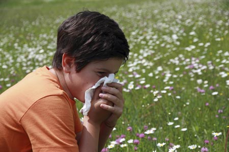Как вести себя при аллергии на пыльцу