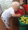 Сколько много яблок!!!