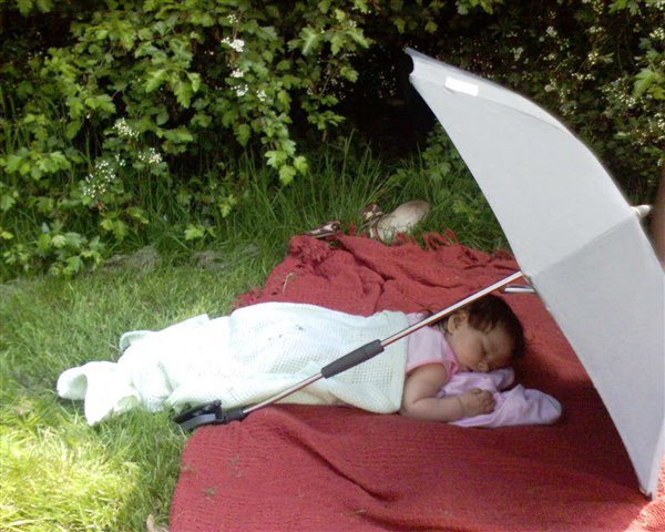 отдыхаю на природе!