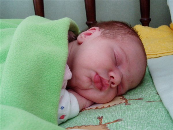 Спящий губошлёп :-))