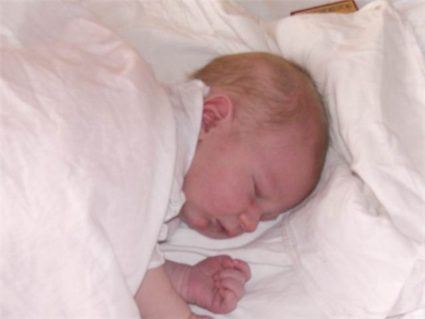 сладкий сон Хомячка