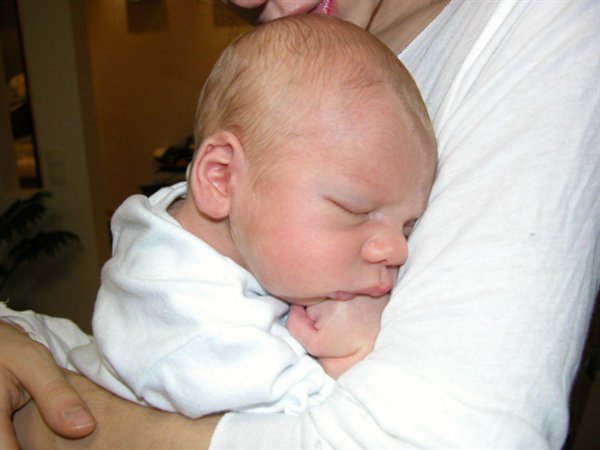 Спящий пушистик)