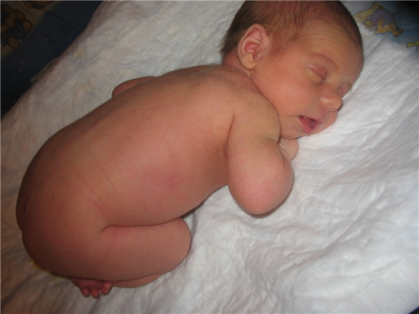 Как в животике у мамы