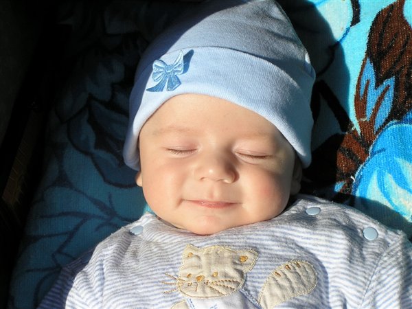 Люблю на солнышке я спать!