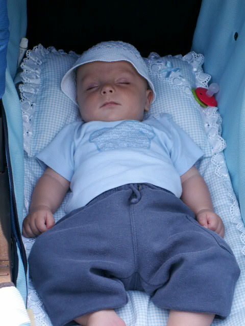 На прогулке