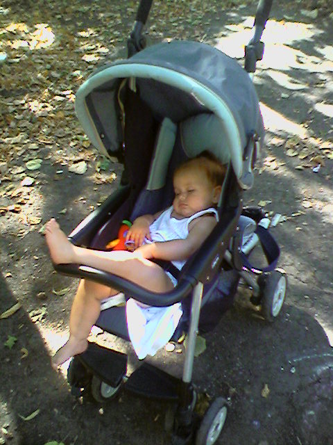 Всех разморило от жары, в саду сейчас прохлада...