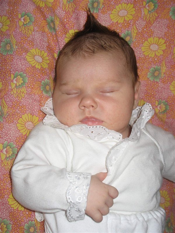 Возвращение Наполеона