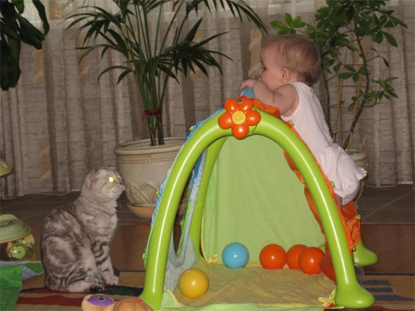 Ку-ку, Порше, я тебя вижу!