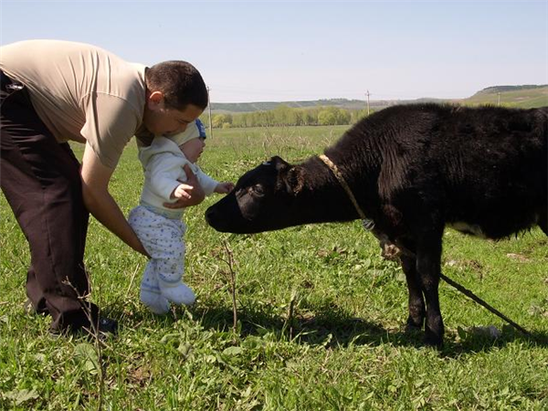 Знакомство с бычком