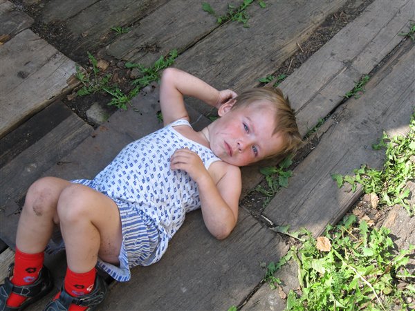 Ромашка-Замарашка.