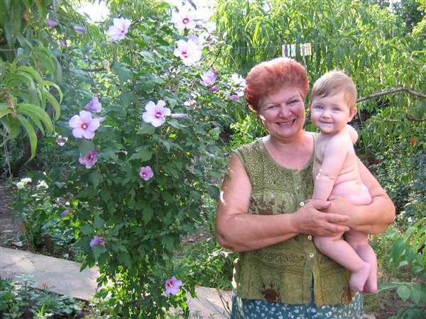 Возле Гибискуса