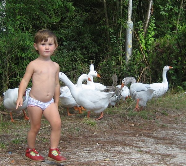 Гуси-гуси, га-га-га