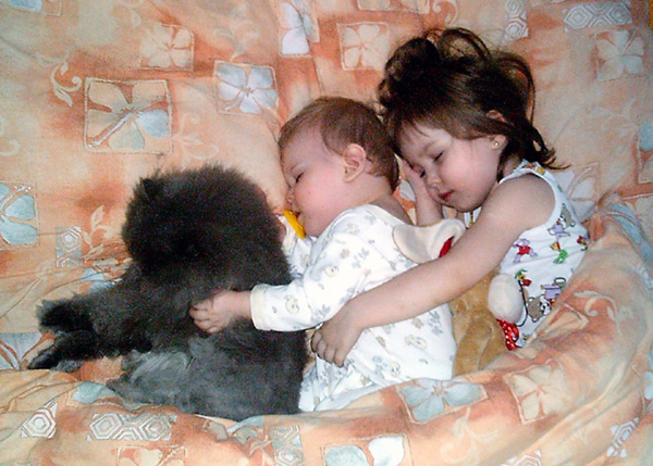 Спят усталые игрушки