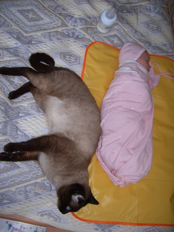 Усатый нянь