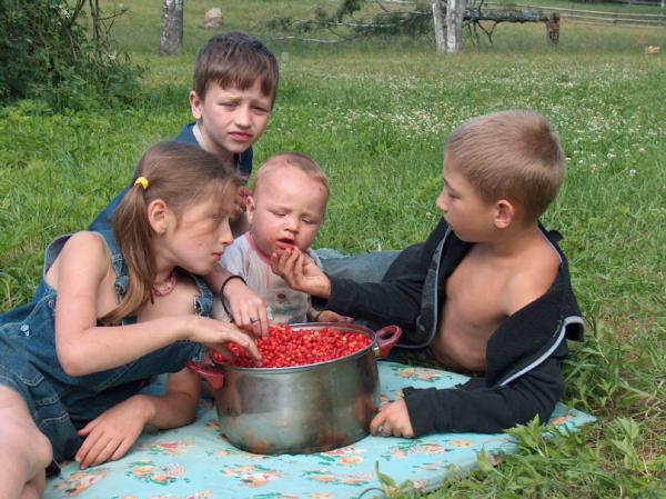 Я болезней не боюсь - земляникой я лечусь