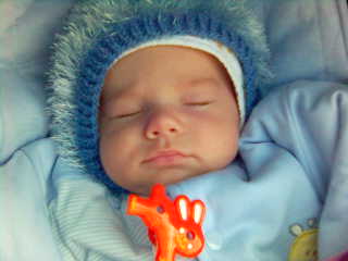 На прогулке сладко спится