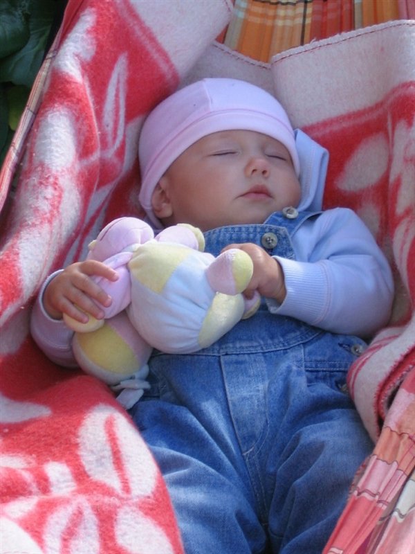 Спят усталые игрушки...