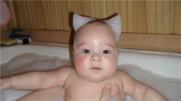 Котёнок- ррр-мяу