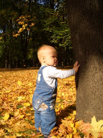 Ну-у  очень не легки первые шаги...