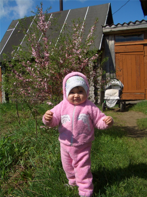 Мама, я иду к тебе