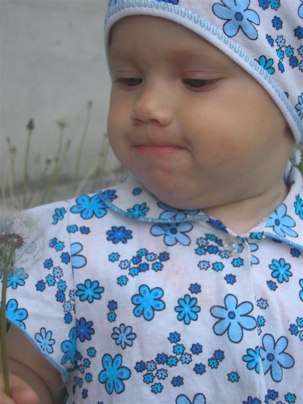 ну и одуванчик!