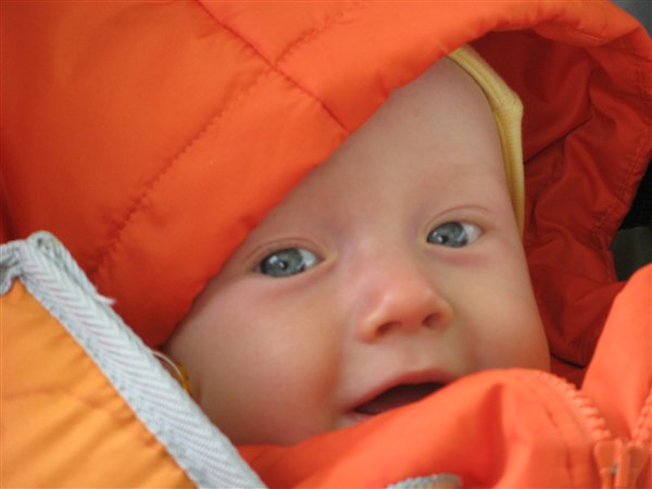 Липисинчик мой родной