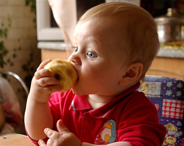 Яблокогрызик