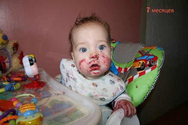 Люблю чернику! А что, добавки не будет?