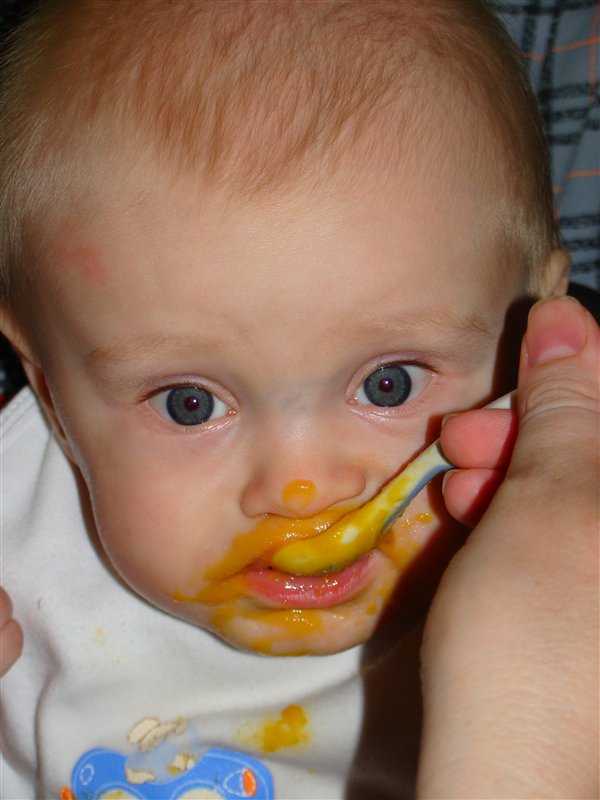 Первый кабачок