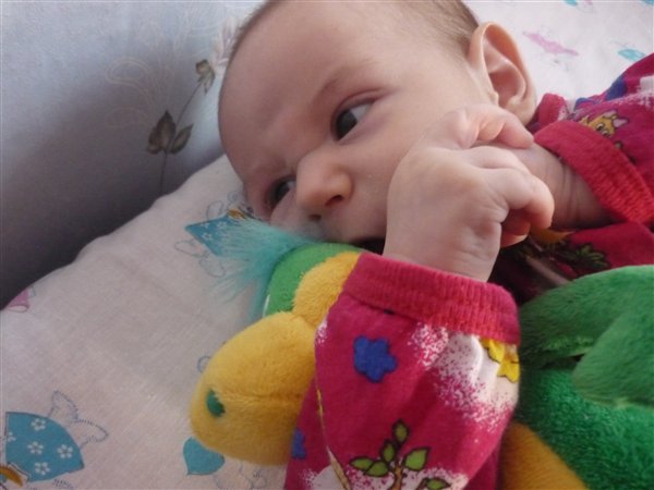 буду грызть ростишку-выросту скорее!