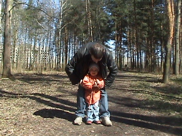 высоко сижу,далеко гляжу...