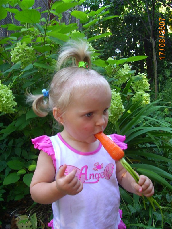 Мы гуляли и устали, на перекус морковку взяли.