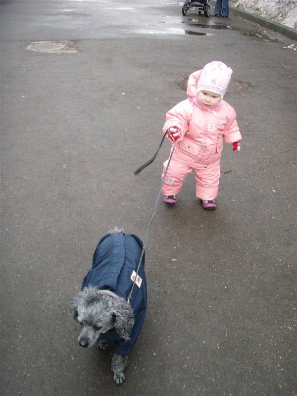 Самый главный собаковод на прогулке!