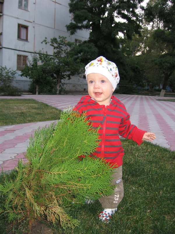 Вау! Какая ёлочка!