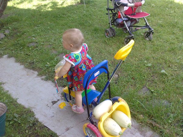 На прогулку в огород вместе с мамой мы пойдём, полный кузов кабачков в огороде наберём!