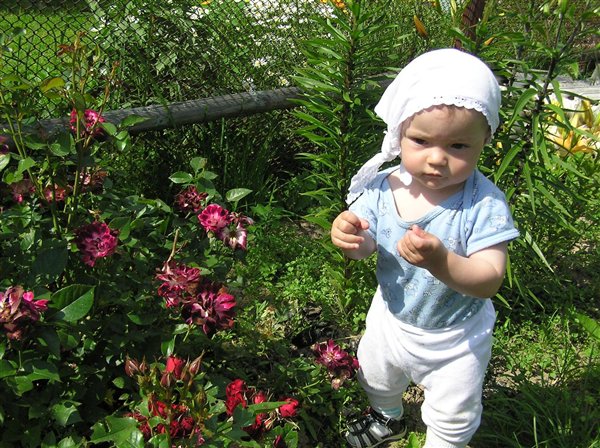 Юный ботаник