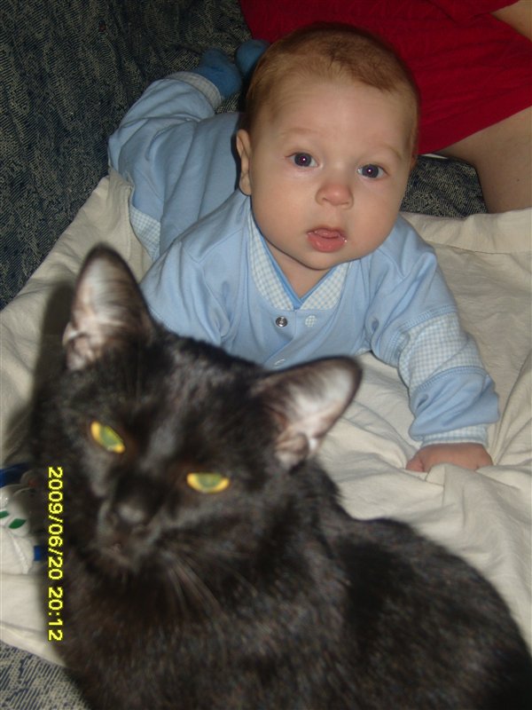 я доберусь до тебя...