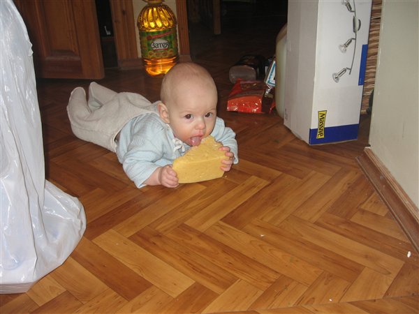 Любительница сыра