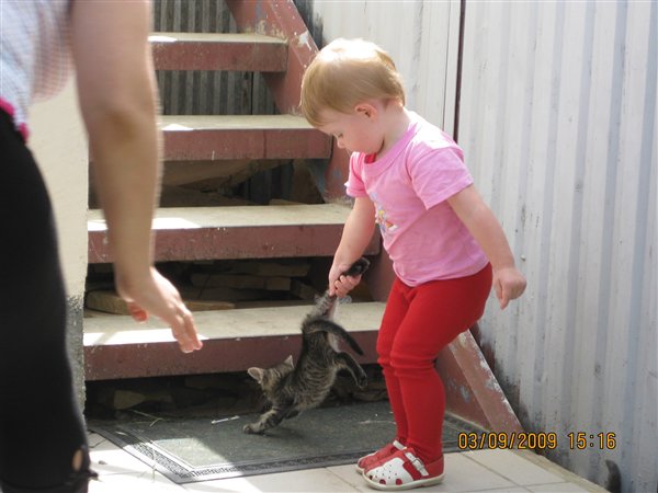 пальчики захватили лапки