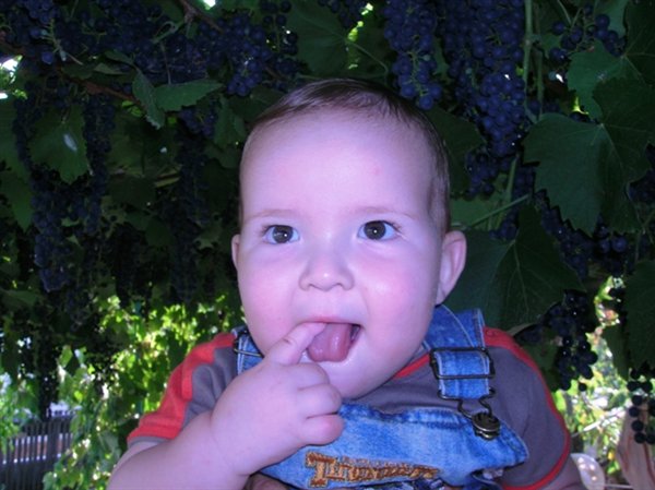 Любопытный пальчик, любопытный мальчик