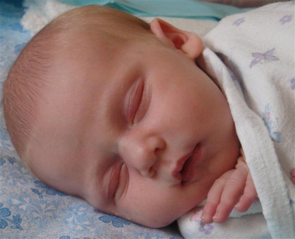 Даруська 11дней