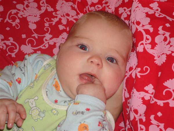 Зубки, вы где?