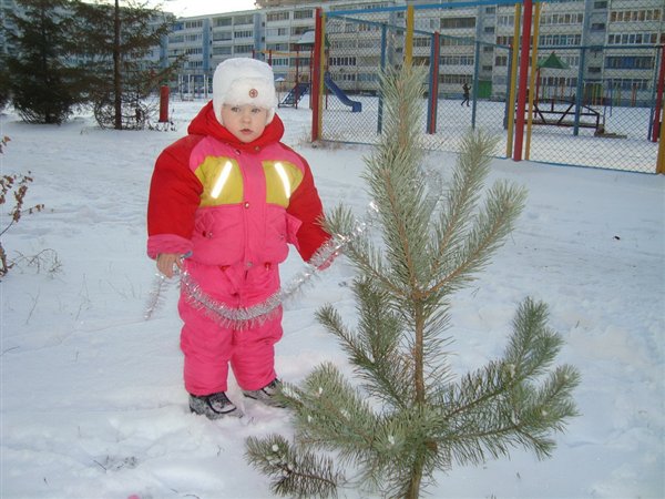 На морозе гуляем и  елочку наряжаем!