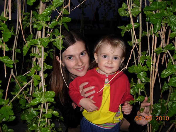 У мамы на руках даже и ветки не страшны!