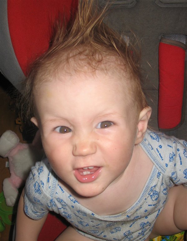 Вот такой ирокез!