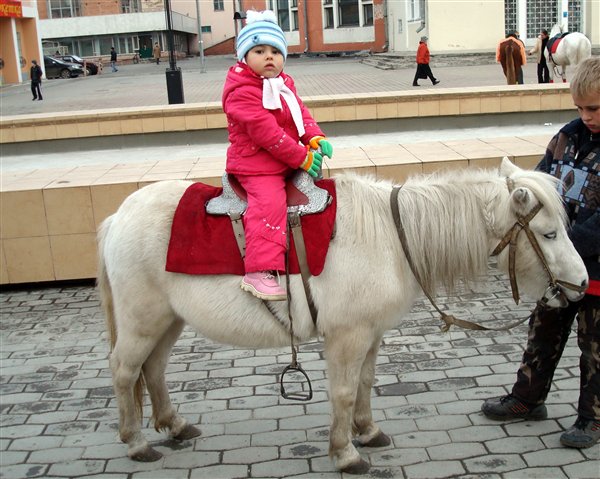 Пони, вперед!!!