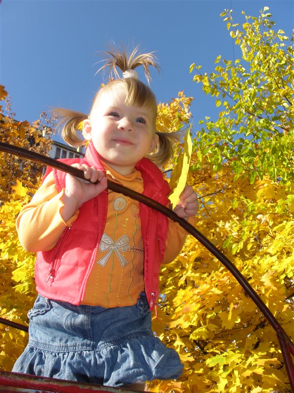 Осенняя золотая прогулка.