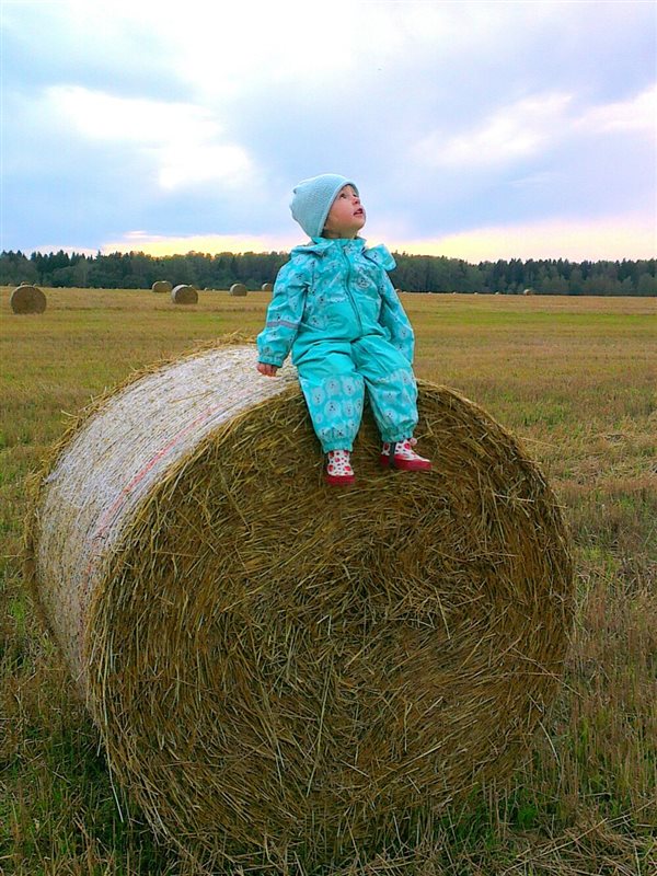 Высоко сижу, далеко гляжу...